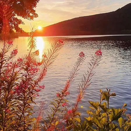 Vue Lac, Superbe Chaleureux & Reposant *